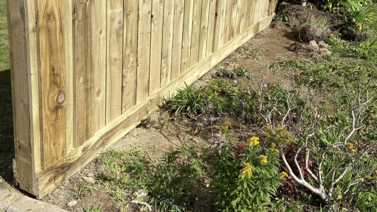 New Garden Fence